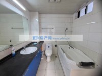 其它圖