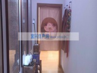 其它圖