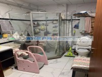 其它圖