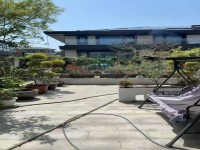 其它圖
