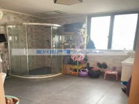 其它圖