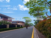 其它圖