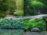 其它圖
