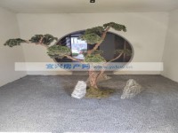 其它圖