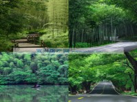 其它圖