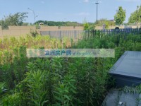 其它圖