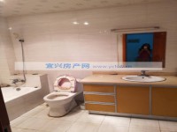 其它圖
