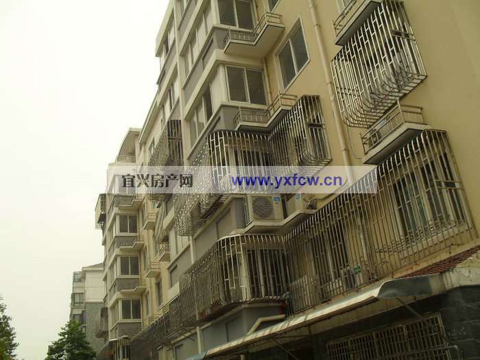 實(shí)景圖