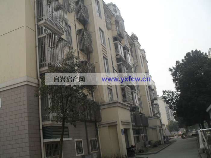 實(shí)景圖