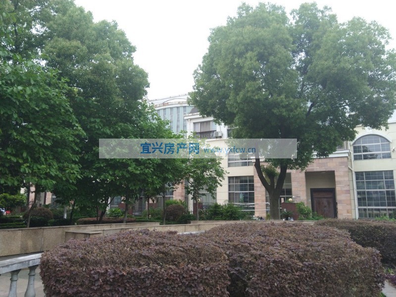 實(shí)景圖