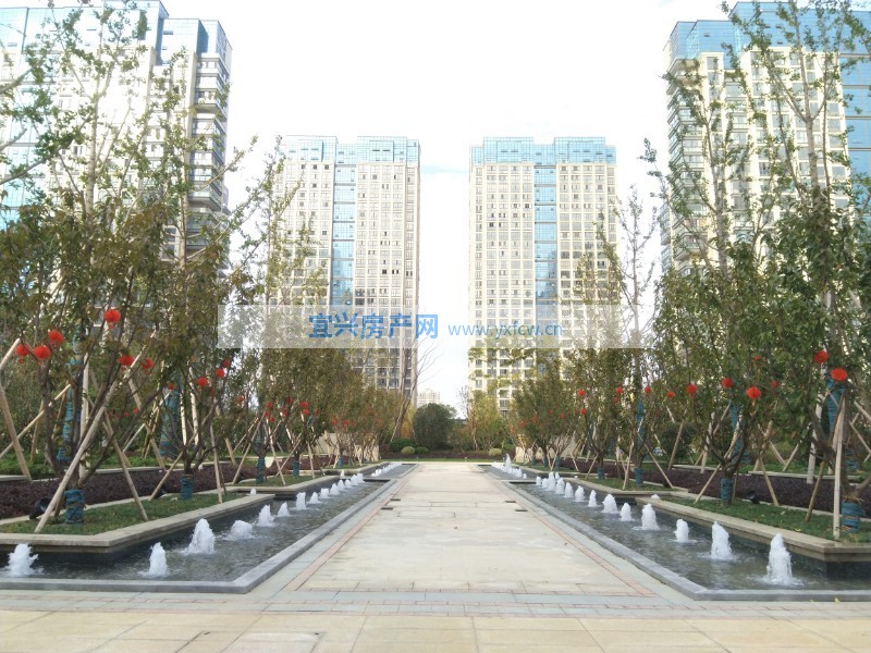 實(shí)景圖